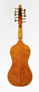 Andrew Dipper Viola D'Amore back