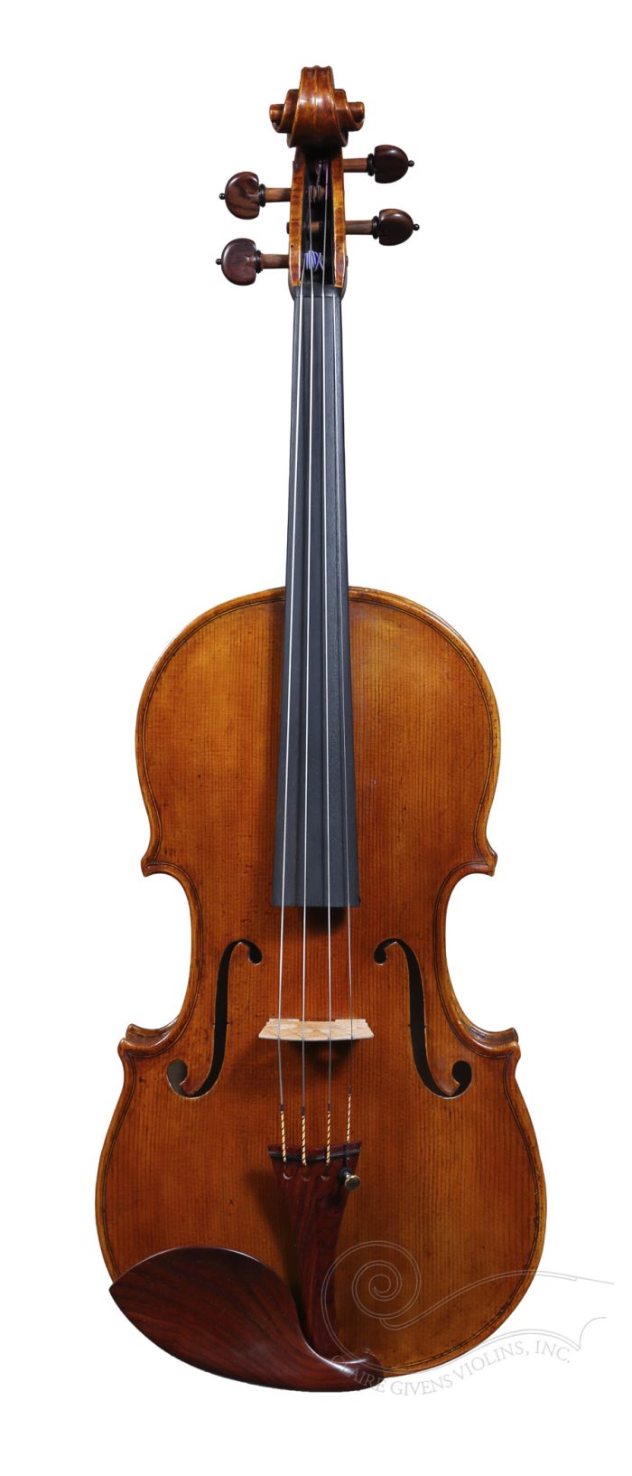 15 3/4" Scrollevezza & Zane, Parma 2025 with cert