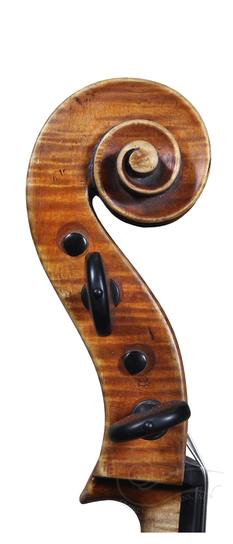 Cello: Vincenzo Postiglione, Napoli, 1890 w/cert - Image 3
