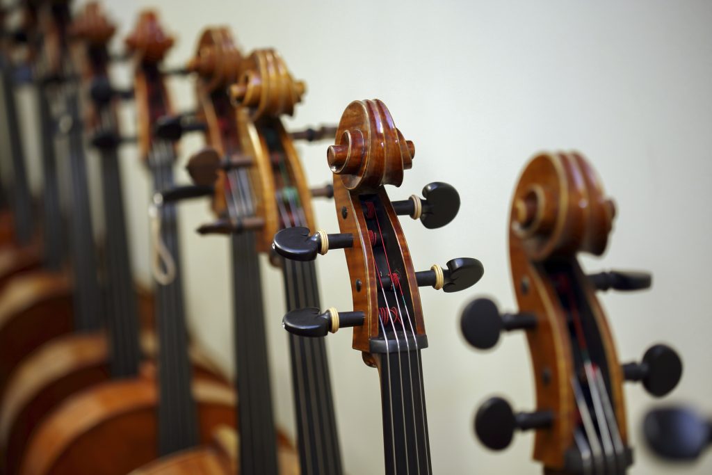 How Climate Affects Cellos Differently