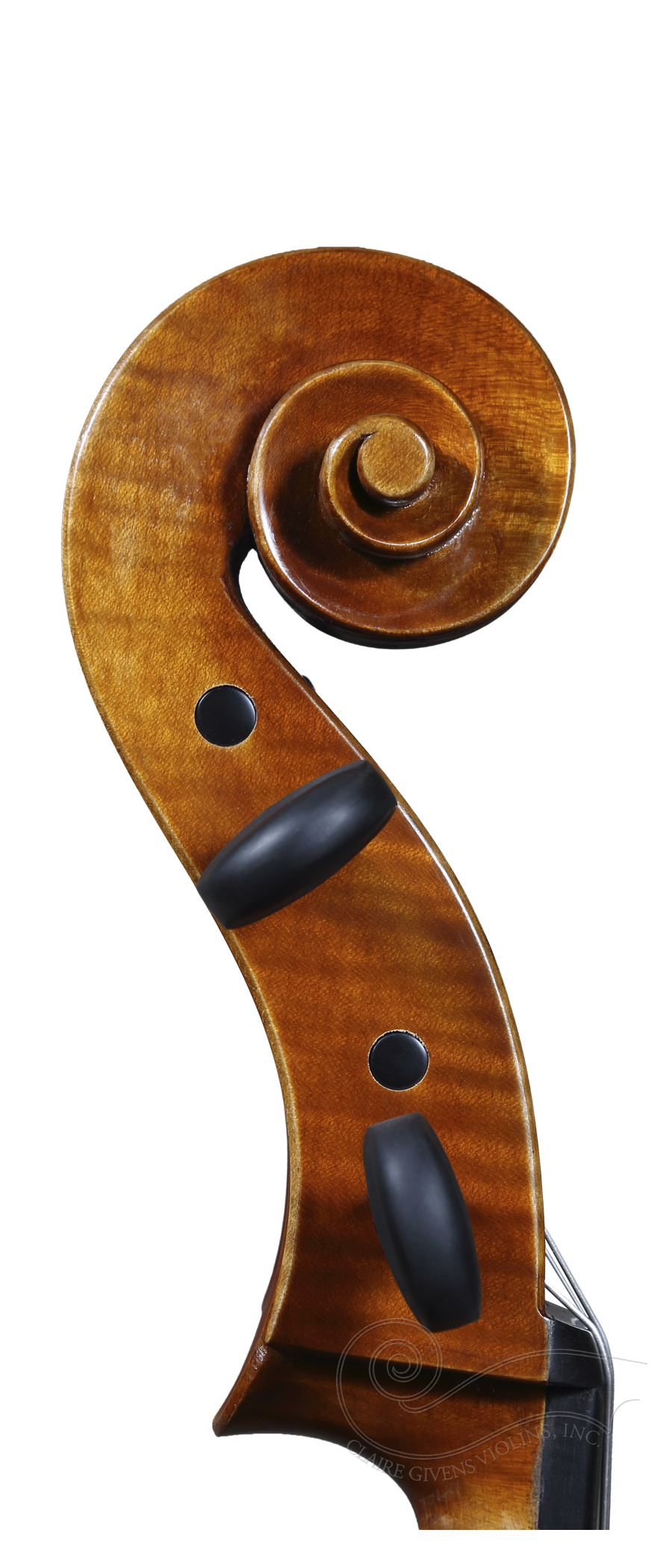 Cello: Rosalia 2025 - Image 3