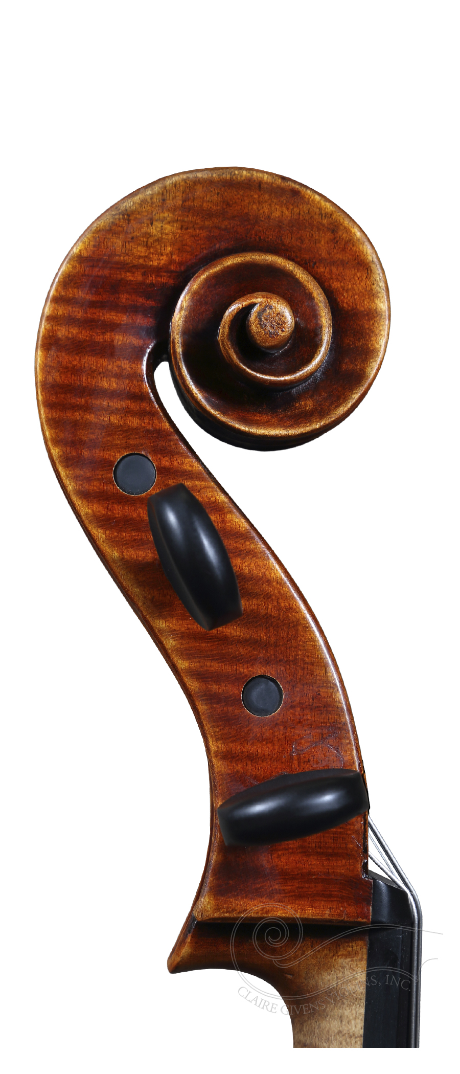 Cello: Jay Haide, El Cerrito 2019, "Special model" - Image 3